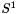 $S^1$